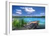 Sunny Day-Philippe Sainte-Laudy-Framed Photographic Print