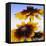 Sunny Day-Herb Dickinson-Framed Stretched Canvas