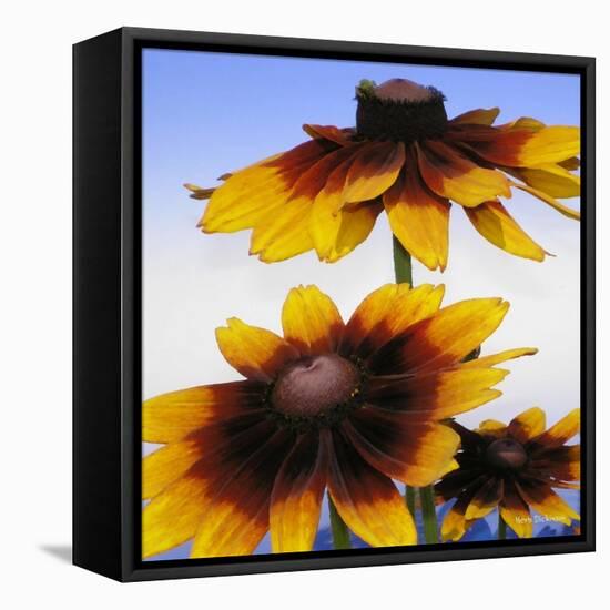 Sunny Day-Herb Dickinson-Framed Stretched Canvas