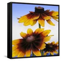 Sunny Day-Herb Dickinson-Framed Stretched Canvas