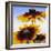 Sunny Day-Herb Dickinson-Framed Photographic Print