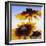 Sunny Day-Herb Dickinson-Framed Photographic Print