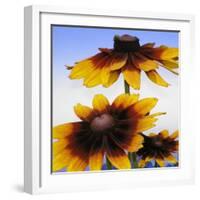 Sunny Day-Herb Dickinson-Framed Photographic Print