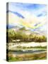 Sunny Day-Neela Pushparaj-Stretched Canvas