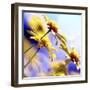 Sunny Days-Incredi-Framed Photographic Print