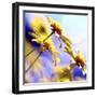 Sunny Days-Incredi-Framed Photographic Print