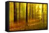 Sunny Deciduous Forest in Full Autumn Colours, Abstract Study [M-Andreas Vitting-Framed Stretched Canvas