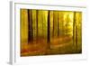 Sunny Deciduous Forest in Full Autumn Colours, Abstract Study [M-Andreas Vitting-Framed Photographic Print