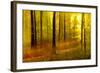 Sunny Deciduous Forest in Full Autumn Colours, Abstract Study [M-Andreas Vitting-Framed Photographic Print