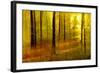 Sunny Deciduous Forest in Full Autumn Colours, Abstract Study [M-Andreas Vitting-Framed Photographic Print