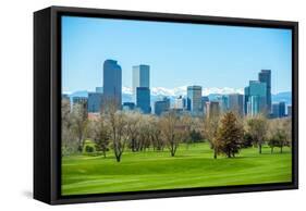Sunny Denver Skyline-duallogic-Framed Stretched Canvas