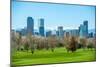 Sunny Denver Skyline-duallogic-Mounted Photographic Print