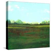 Sunny Field-Herb Dickinson-Stretched Canvas