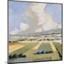 Sunny Fields I-Robert Seguin-Mounted Art Print