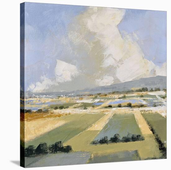 Sunny Fields I-Robert Seguin-Stretched Canvas