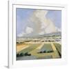 Sunny Fields I-Robert Seguin-Framed Art Print