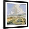 Sunny Fields I-Robert Seguin-Framed Art Print