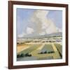 Sunny Fields I-Robert Seguin-Framed Art Print