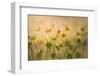 Sunny Flowers-Nel Talen-Framed Photographic Print