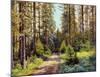 Sunny Forest Road-Ernst Frommhold-Mounted Art Print