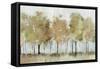 Sunny Forest Trees-Allison Pearce-Framed Stretched Canvas