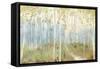 Sunny Forest-Allison Pearce-Framed Stretched Canvas