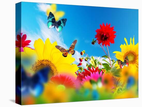 Sunny Garden Of Flowers And Butterflies. Colors Of Spring And Summer-Michal Bednarek-Stretched Canvas