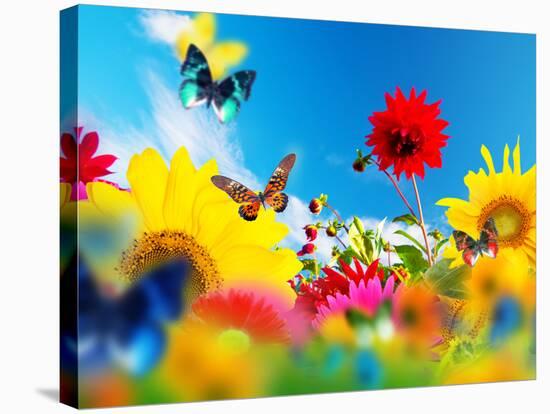 Sunny Garden Of Flowers And Butterflies. Colors Of Spring And Summer-Michal Bednarek-Stretched Canvas