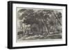 Sunny Hours-George Haydock Dodgson-Framed Giclee Print