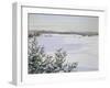 Sunny Landscape in Winter (Sweden)-August Hagborg-Framed Giclee Print