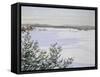 Sunny Landscape in Winter (Sweden)-August Hagborg-Framed Stretched Canvas