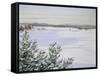 Sunny Landscape in Winter (Sweden)-August Hagborg-Framed Stretched Canvas