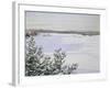 Sunny Landscape in Winter (Sweden)-August Hagborg-Framed Giclee Print