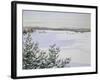 Sunny Landscape in Winter (Sweden)-August Hagborg-Framed Giclee Print