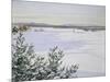 Sunny Landscape in Winter (Sweden)-August Hagborg-Mounted Giclee Print