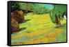 Sunny Lawn-Vincent van Gogh-Framed Stretched Canvas