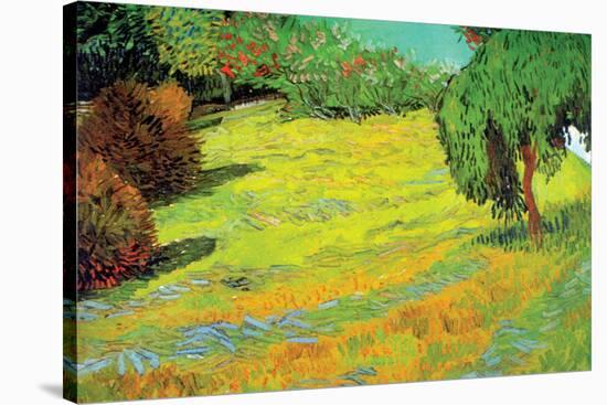 Sunny Lawn-Vincent van Gogh-Stretched Canvas