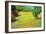 Sunny Lawn-Vincent van Gogh-Framed Art Print