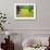 Sunny Lawn-Vincent van Gogh-Framed Art Print displayed on a wall