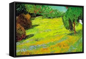 Sunny Lawn-Vincent van Gogh-Framed Stretched Canvas