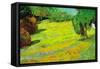 Sunny Lawn-Vincent van Gogh-Framed Stretched Canvas