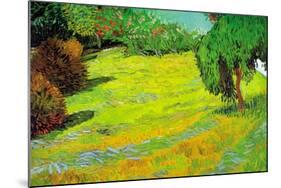 Sunny Lawn-Vincent van Gogh-Mounted Art Print