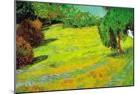 Sunny Lawn-Vincent van Gogh-Mounted Art Print