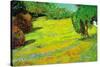 Sunny Lawn-Vincent van Gogh-Stretched Canvas