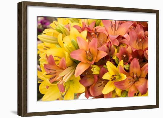 Sunny Lily I-Maureen Love-Framed Photographic Print