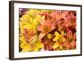 Sunny Lily I-Maureen Love-Framed Photographic Print