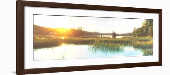 Sunny Marsh 2-Marcus Prime-Framed Art Print