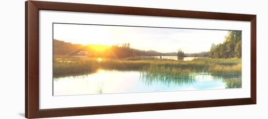 Sunny Marsh 2-Marcus Prime-Framed Art Print