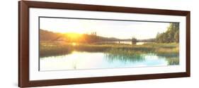 Sunny Marsh 2-Marcus Prime-Framed Art Print