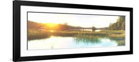 Sunny Marsh 2-Marcus Prime-Framed Art Print